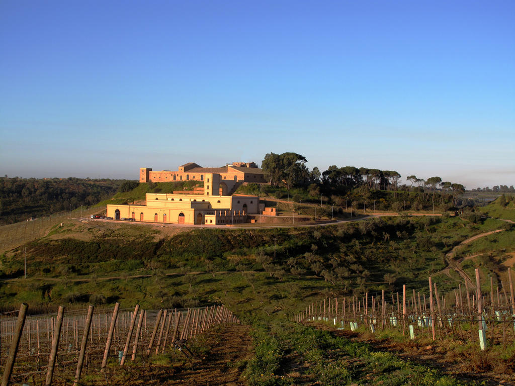 Wine Relais Feudi Del Pisciotto Villa Niscemi Exterior photo